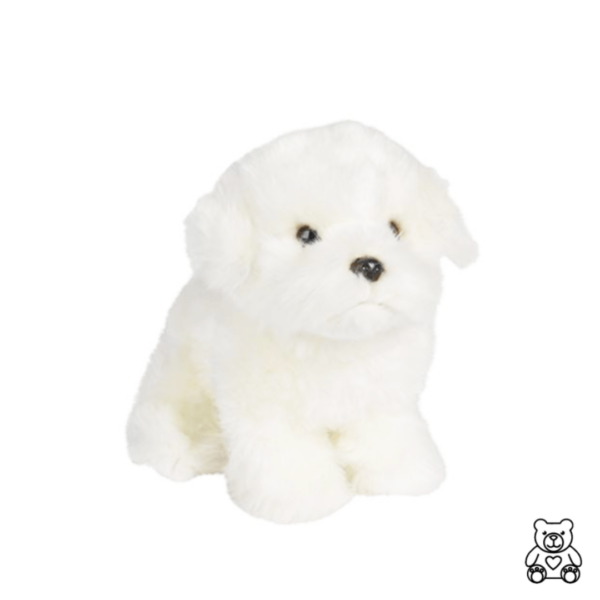 bichon