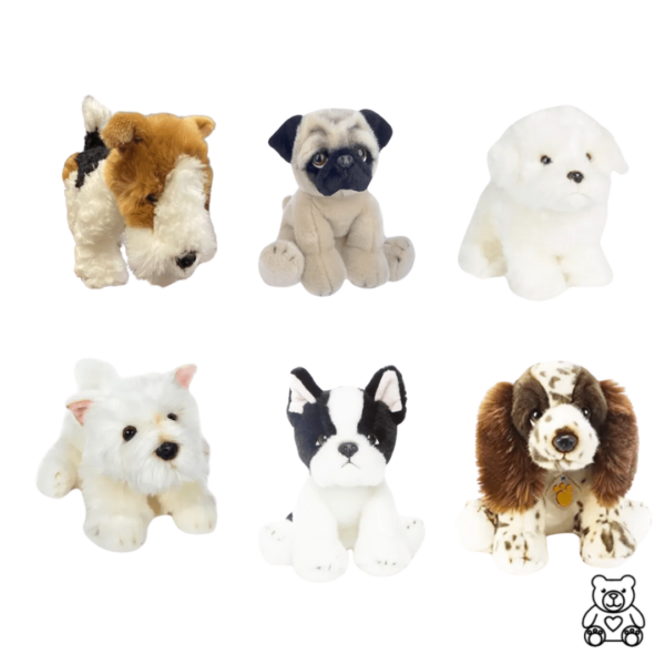 peluche chien collection